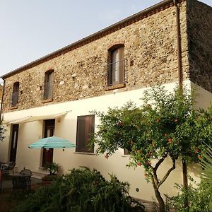 Casa del Geco